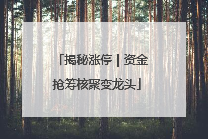 揭秘涨停｜资金抢筹核聚变龙头