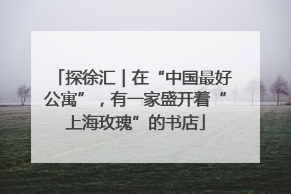 探徐汇｜在“中国最好公寓”，有一家盛开着“上海玫瑰”的书店