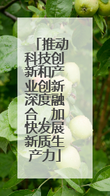 推动科技创新和产业创新深度融合，加快发展新质生产力