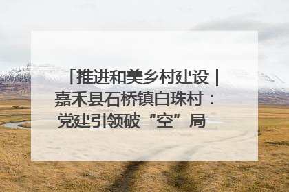 推进和美乡村建设｜嘉禾县石桥镇白珠村：党建引领破“空”局 乡贤聚力绘就新图景