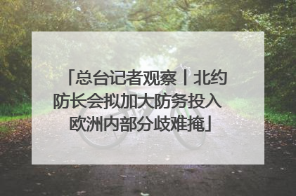 总台记者观察丨北约防长会拟加大防务投入 欧洲内部分歧难掩