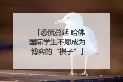 恐慌蔓延 哈佛国际学生不愿成为博弈的“棋子”