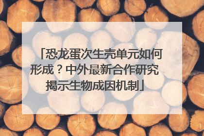 恐龙蛋次生壳单元如何形成？中外最新合作研究揭示生物成因机制