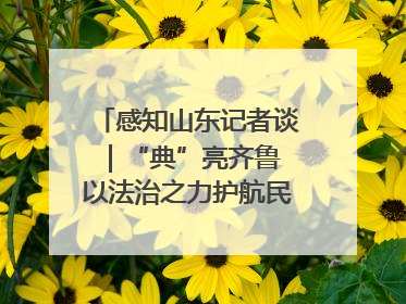 感知山东记者谈｜“典”亮齐鲁 以法治之力护航民生与营商环境