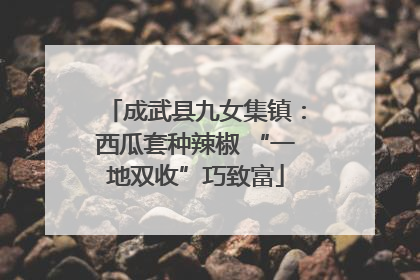 成武县九女集镇：西瓜套种辣椒 “一地双收”巧致富