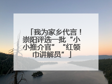 我为家乡代言！崇阳评选一批“小小推介官”“红领巾讲解员”