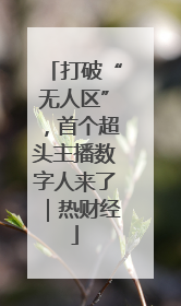 打破“无人区”，首个超头主播数字人来了｜热财经