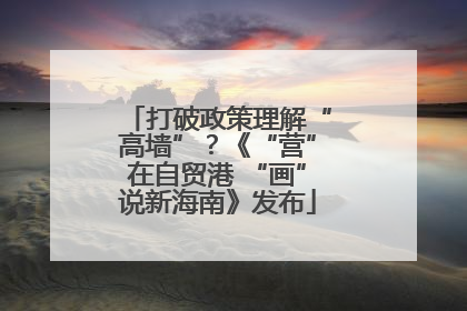 打破政策理解“高墙”？《“营”在自贸港 “画”说新海南》发布