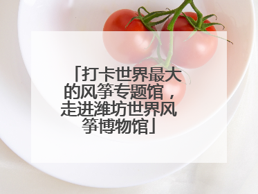 打卡世界最大的风筝专题馆，走进潍坊世界风筝博物馆