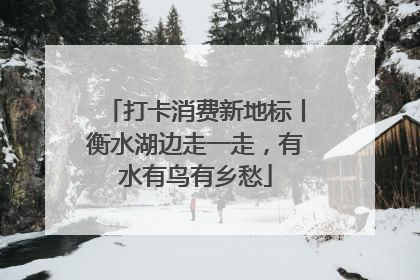 打卡消费新地标丨衡水湖边走一走，有水有鸟有乡愁