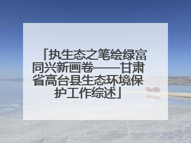 执生态之笔绘绿富同兴新画卷——甘肃省高台县生态环境保护工作综述