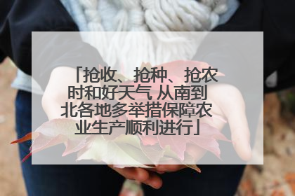 抢收、抢种、抢农时和好天气 从南到北各地多举措保障农业生产顺利进行