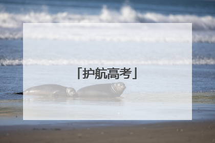 护航高考