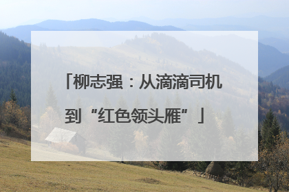 柳志强：从滴滴司机到“红色领头雁”