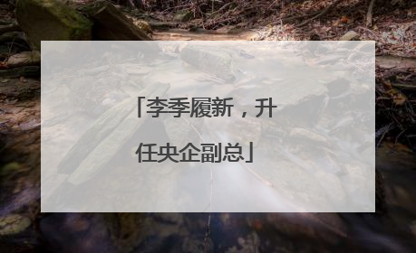 李季履新，升任央企副总