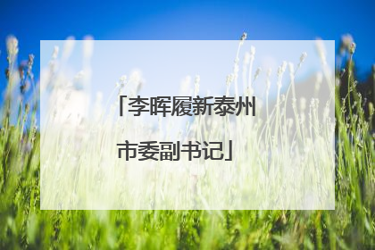 李晖履新泰州市委副书记