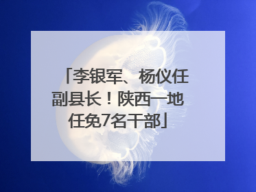 李银军、杨仪任副县长！陕西一地任免7名干部