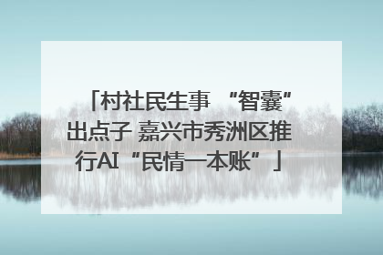 村社民生事 “智囊”出点子 嘉兴市秀洲区推行AI“民情一本账”