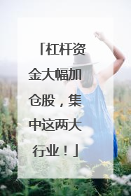 杠杆资金大幅加仓股，集中这两大行业！