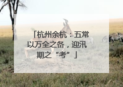 杭州余杭：五常以万全之备，迎汛期之“考”