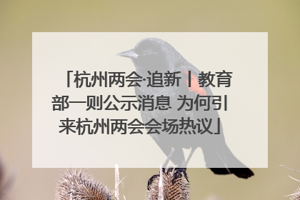 杭州两会·追新丨教育部一则公示消息 为何引来杭州两会会场热议