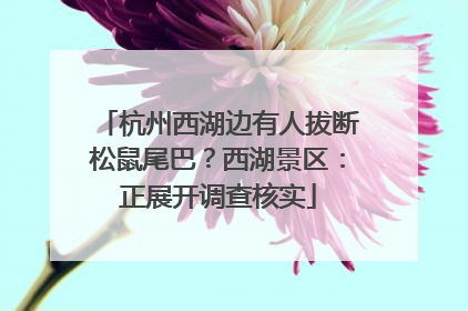 杭州西湖边有人拔断松鼠尾巴？西湖景区：正展开调查核实