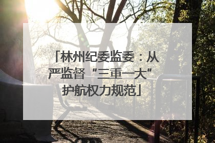 林州纪委监委：从严监督“三重一大” 护航权力规范