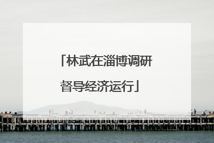 林武在淄博调研督导经济运行