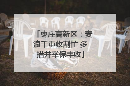 枣庄高新区：麦浪千重收割忙 多措并举保丰收