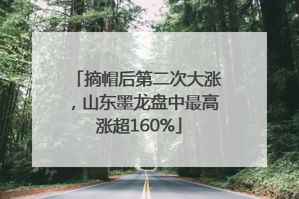 摘帽后第二次大涨，山东墨龙盘中最高涨超160%