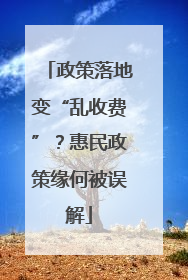 政策落地变“乱收费”？惠民政策缘何被误解