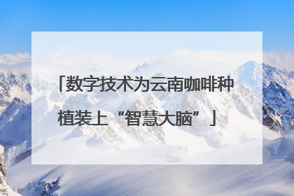 数字技术为云南咖啡种植装上“智慧大脑”