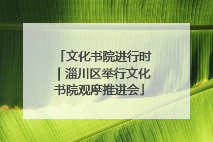 文化书院进行时｜淄川区举行文化书院观摩推进会