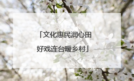 文化惠民润心田 好戏连台暖乡村