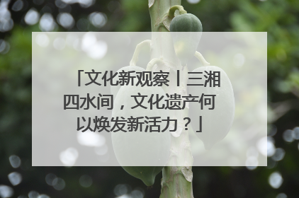 文化新观察丨三湘四水间，文化遗产何以焕发新活力？
