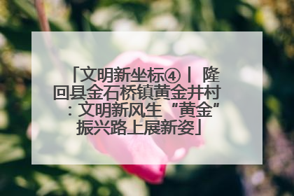 文明新坐标④丨 隆回县金石桥镇黄金井村：文明新风生“黄金” 振兴路上展新姿