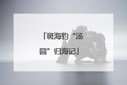 斑海豹“汤圆”归海记