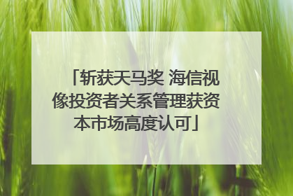 斩获天马奖 海信视像投资者关系管理获资本市场高度认可