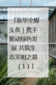 新华全媒头条｜携手推动绿色发展 共筑生态文明之基（1）