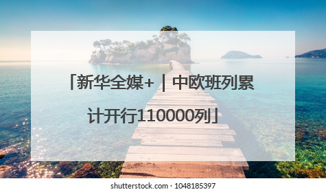 新华全媒+｜中欧班列累计开行110000列