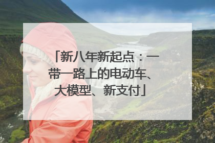 新八年新起点：一带一路上的电动车、大模型、新支付
