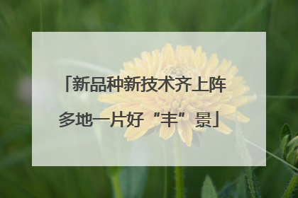 新品种新技术齐上阵 多地一片好“丰”景