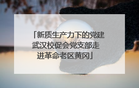 新质生产力下的党建 武汉校促会党支部走进革命老区黄冈