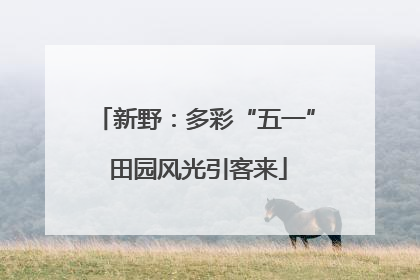 新野：多彩“五一” 田园风光引客来