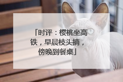 时评：樱桃坐高铁，早晨枝头摘，傍晚到餐桌