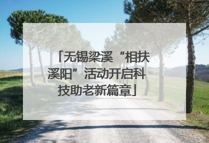 无锡梁溪“相扶溪阳”活动开启科技助老新篇章
