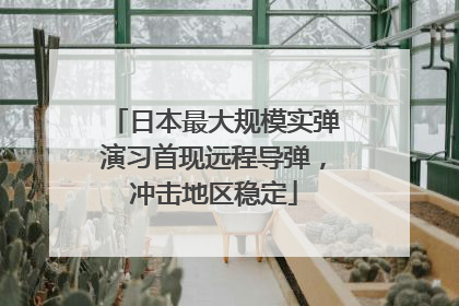 日本最大规模实弹演习首现远程导弹，冲击地区稳定