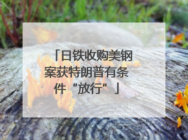 日铁收购美钢案获特朗普有条件“放行”