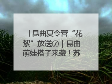 昆曲夏令营“花絮”放送⑦｜昆曲萌娃搭子来袭！苏州“小昆迷”姐弟期待同台演绎“姑苏水磨调”