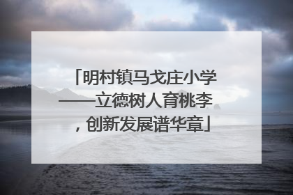 明村镇马戈庄小学——立德树人育桃李，创新发展谱华章